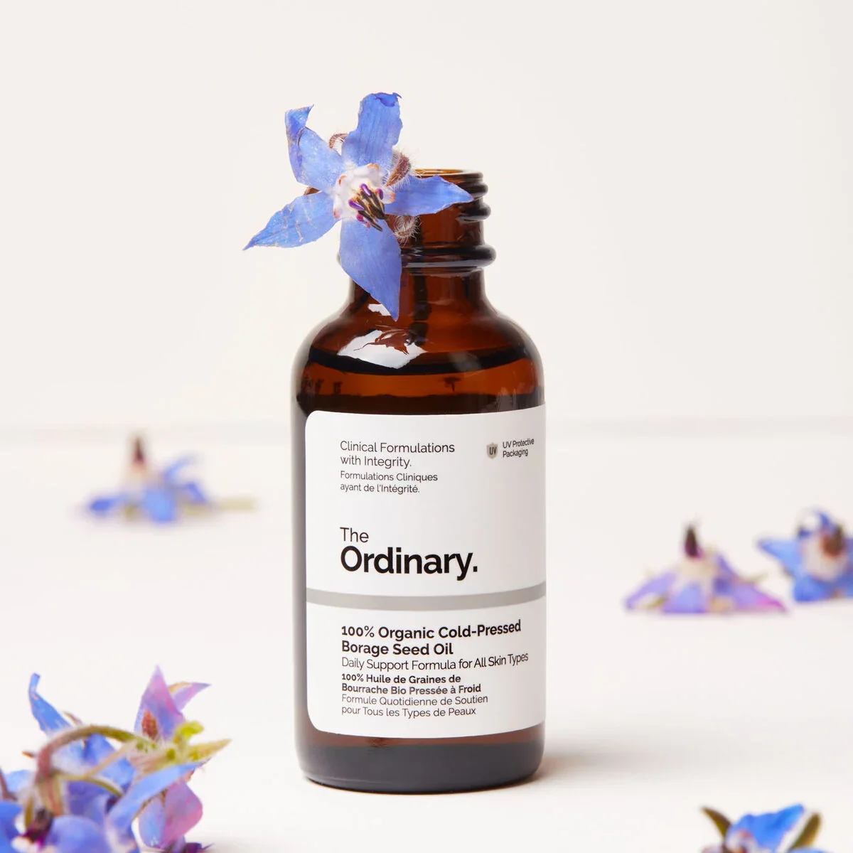 100% Organic Cold-Pressed Borage Seed Oil - Image 2