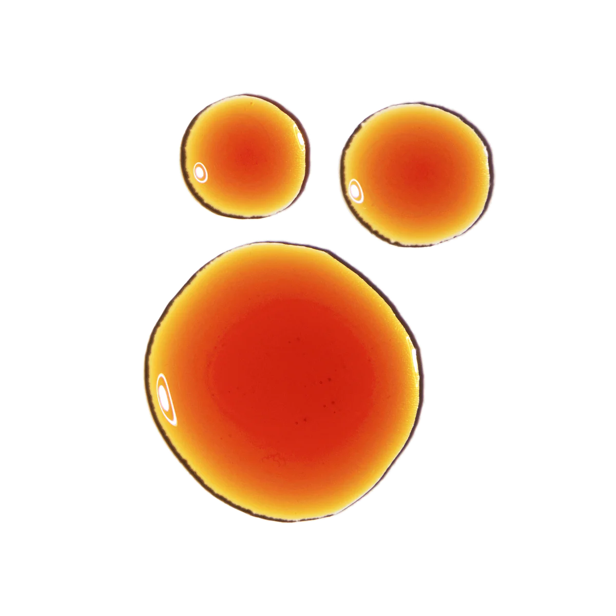 Pycnogenol 5% - Image 3